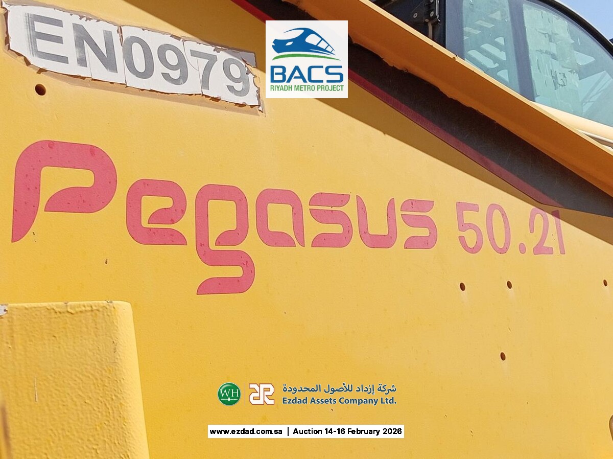 2014 Dieci Pegasus 50.21 Telescopic Hander-45154757