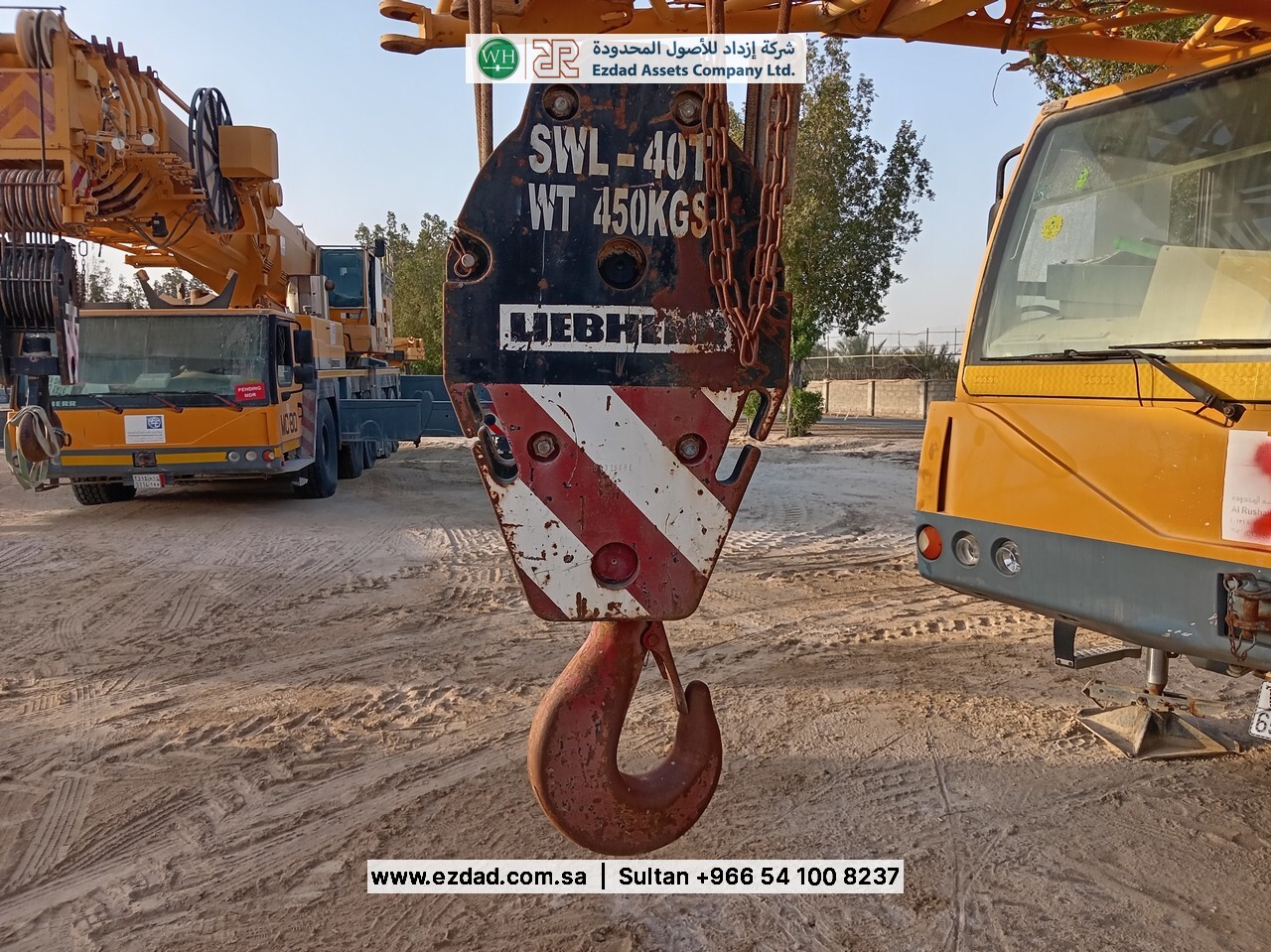2006 Liebherr LTM090-4.1-48752826