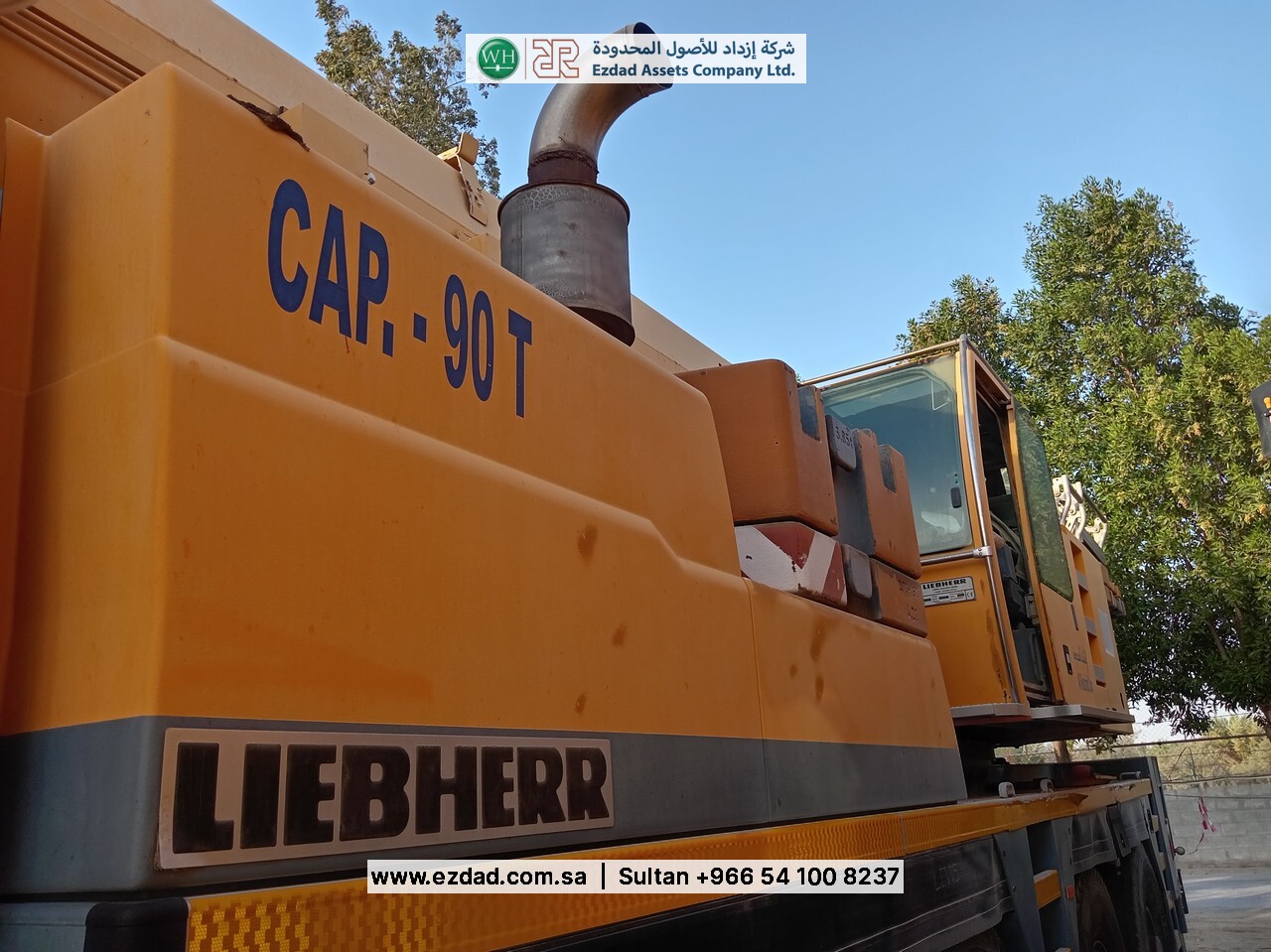 2006 Liebherr LTM090-4.1-48752827
