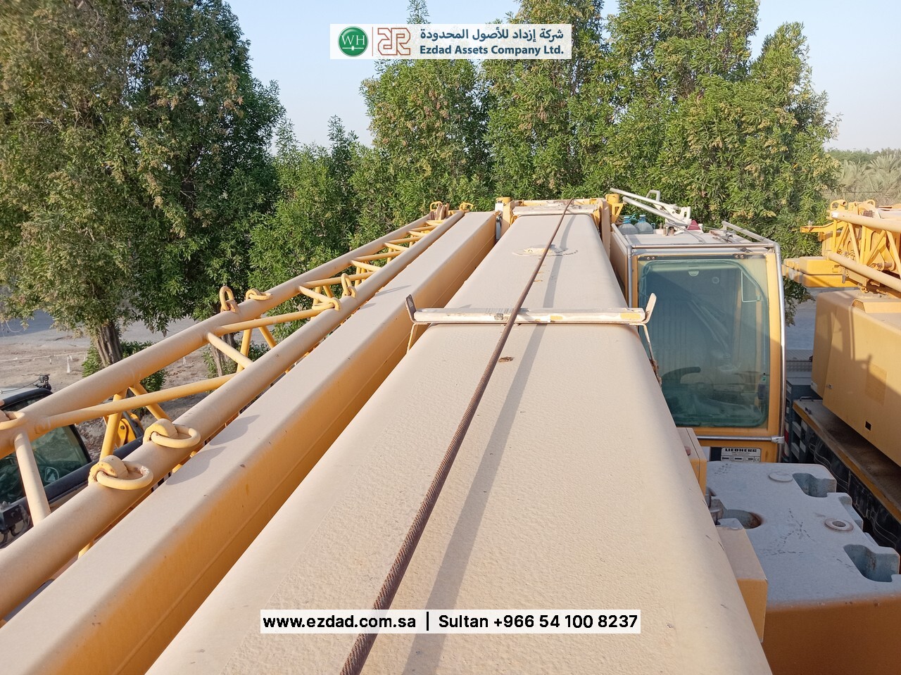2006 Liebherr LTM090-4.1-48752876