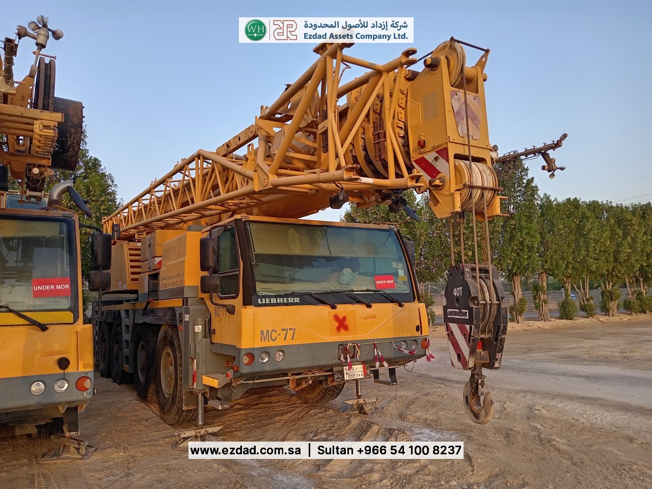 2010 Liebherr LTM090-4.1-48752971
