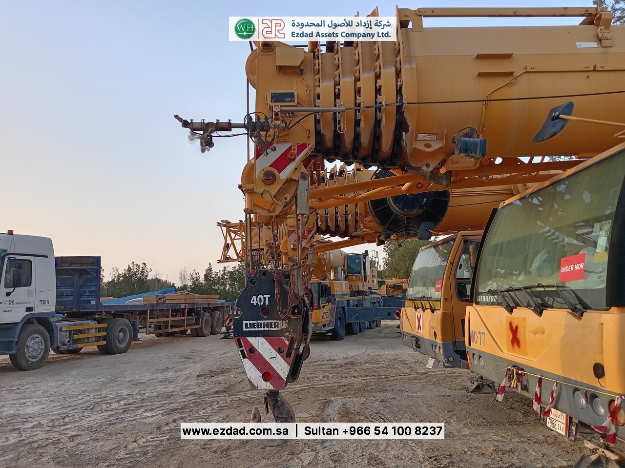 2010 Liebherr LTM090-4.1-48752982