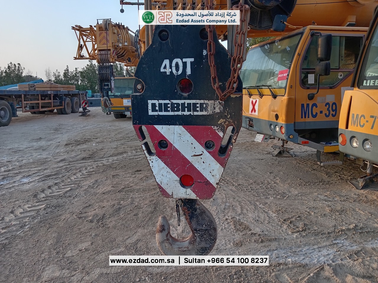 2010 Liebherr LTM090-4.1-48752984