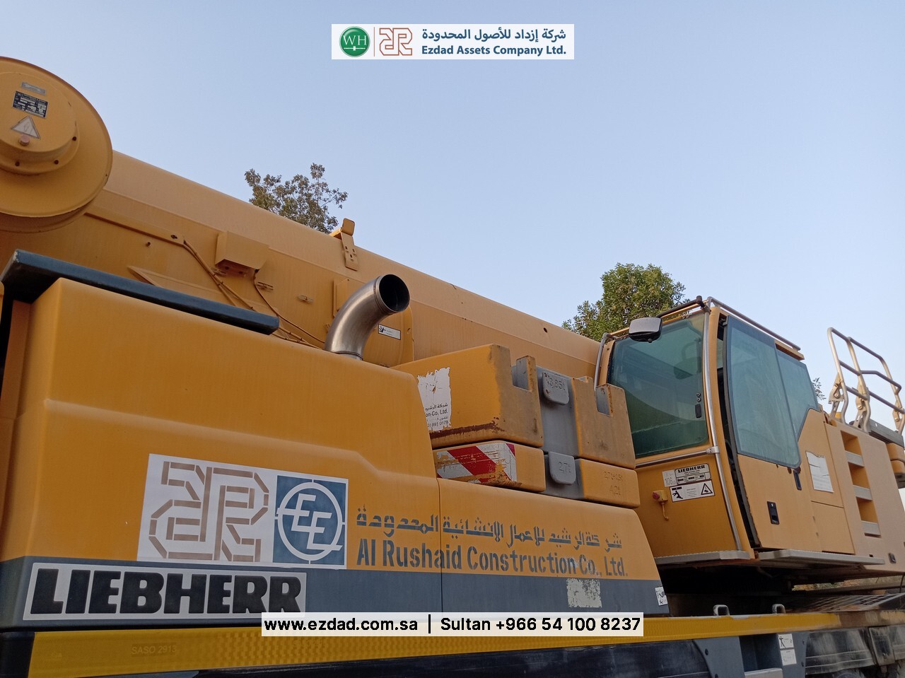 2010 Liebherr LTM090-4.1-48752985