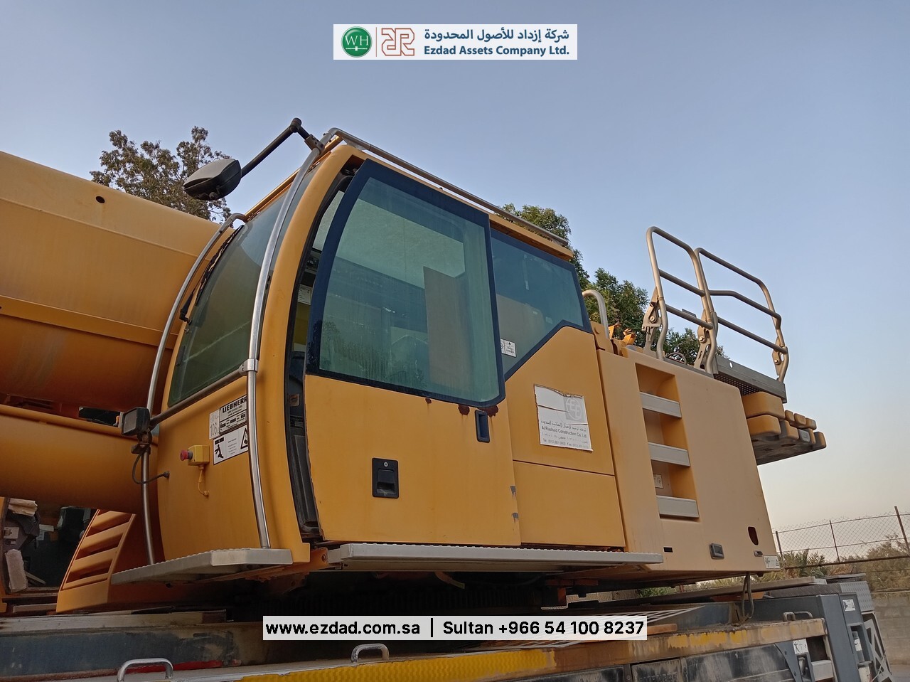 2010 Liebherr LTM090-4.1-48752986