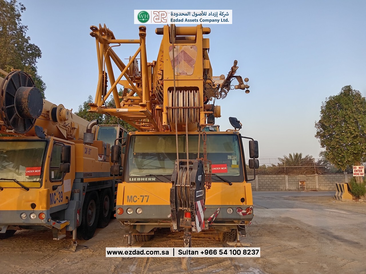 2010 Liebherr LTM090-4.1-48752972