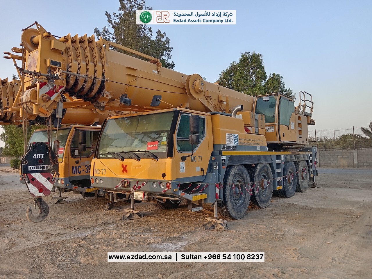 2010 Liebherr LTM090-4.1-48752973