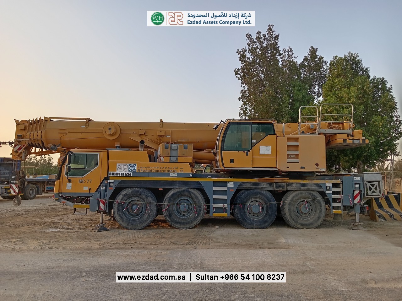 2010 Liebherr LTM090-4.1-48752974