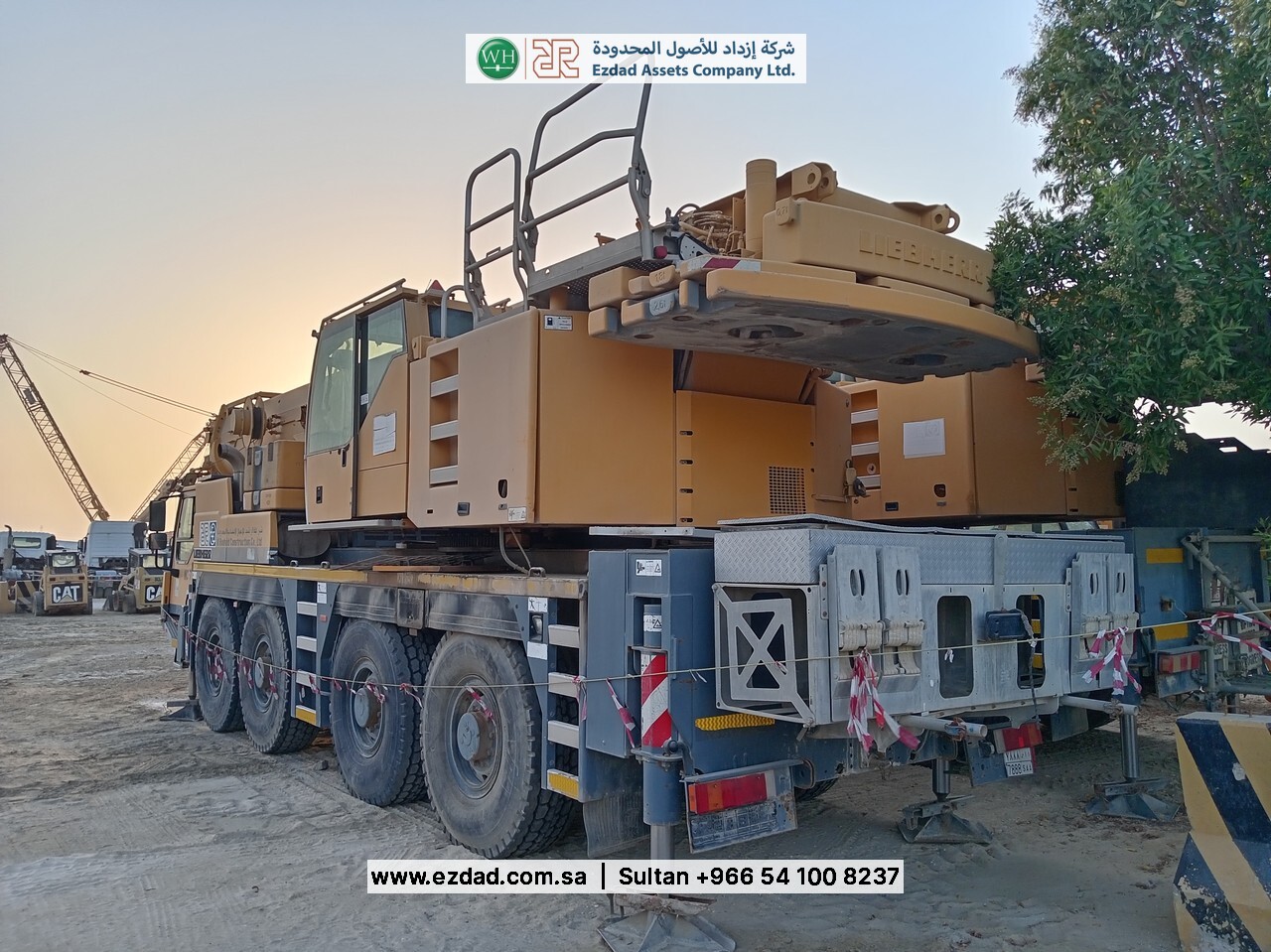 2010 Liebherr LTM090-4.1-48752975