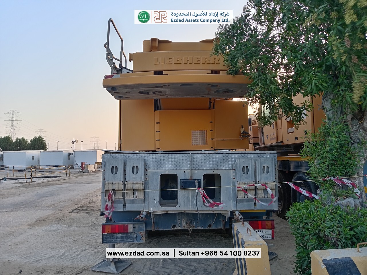 2010 Liebherr LTM090-4.1-48752976
