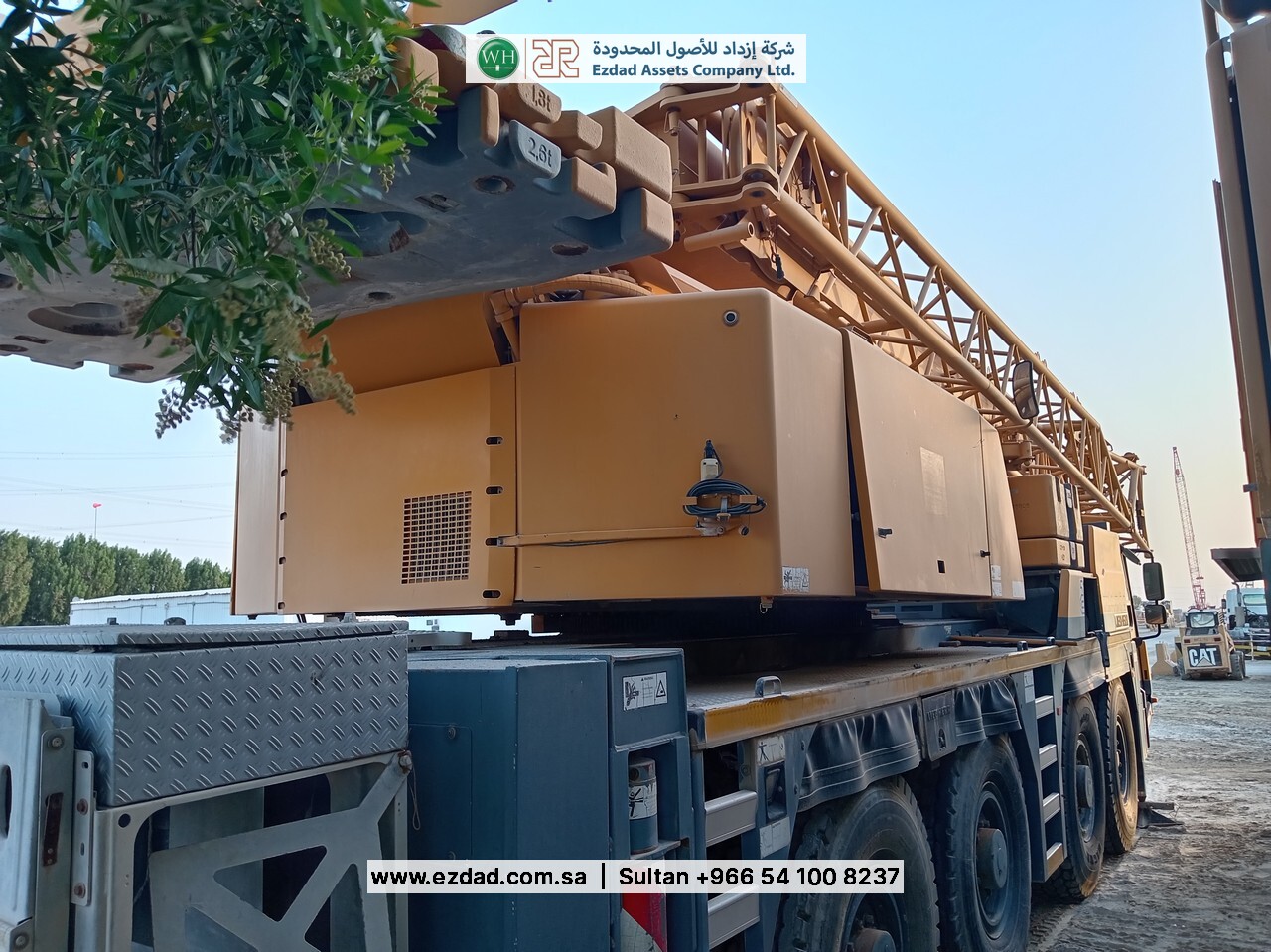 2010 Liebherr LTM090-4.1-48752978