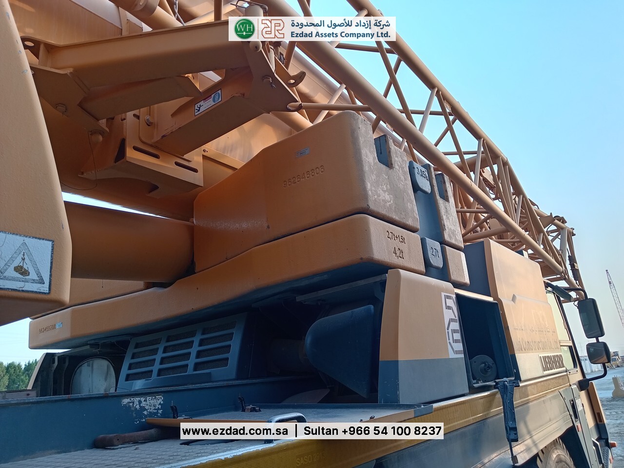 2010 Liebherr LTM090-4.1-48752979